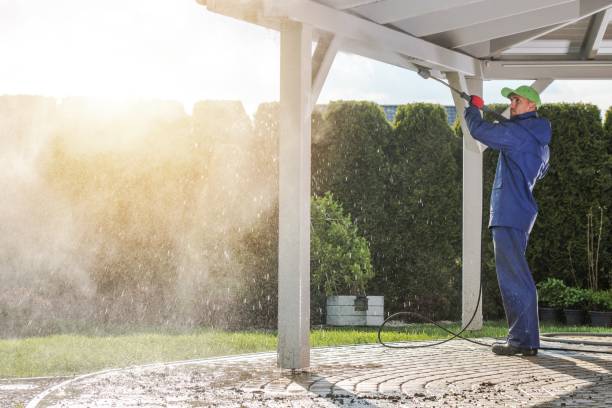 Best Dumpster Area Cleaning  in Splendora, TX